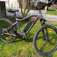 Bici elettriche a pedalata assistita