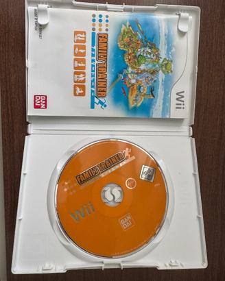 Family trainer wii