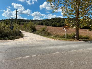 Terreno boschivo a Monteriggioni