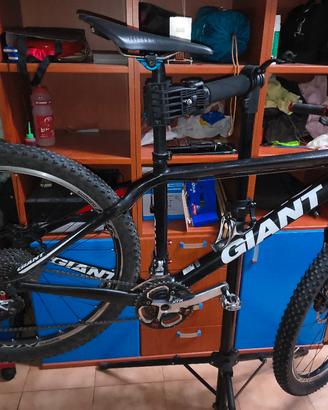 Bicicletta Giant