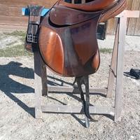 Sella Prince Saddlery Pegasus 2021 