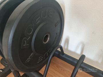 Bumper olimpici Rogue 