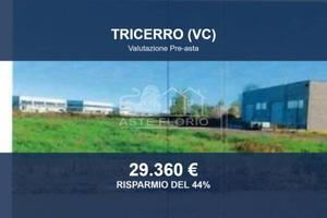 Immobile in asta di 2610 m² a Tricerro