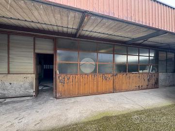 CAPANNONE A CASALMORO