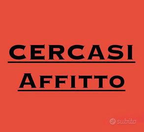 Aprilia/ Ardea