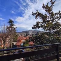 VILLA SINGOLA A ROCCA DI PAPA