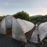 archi x serre