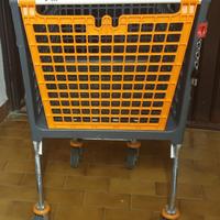 Carrello spesa