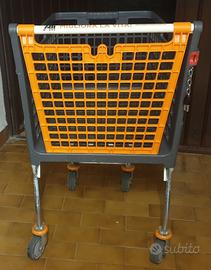 Carrello spesa