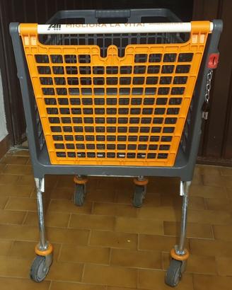 Carrello spesa