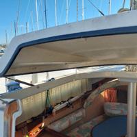 Barca a vela deheler delanta 76