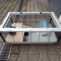 Gabbia criceto, orsetti russi, roditori.