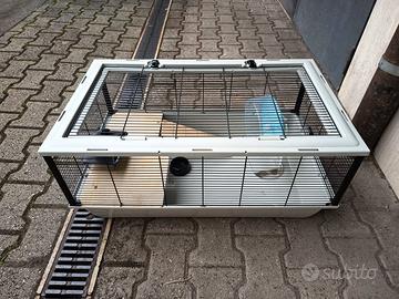 Gabbia criceto, orsetti russi, roditori.