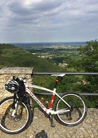 Specialized Stumpjumper Compcarbon  taglia m