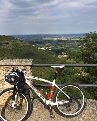 Specialized Stumpjumper Compcarbon  taglia m