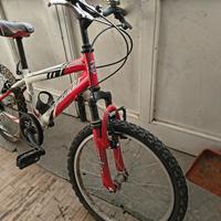 Bicicletta da bambino 