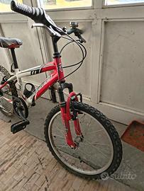 Bicicletta da bambino 