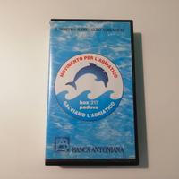 Videocassetta vintage