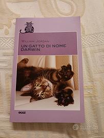 un gatto di nome Darwin William Jordan