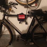 bici con pedalata assistita