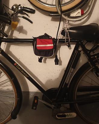 bici con pedalata assistita