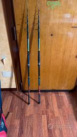 Coppia Italcanna EVO 170 4,10m – Spedizione GRATIS