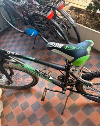 Mountain Bike Cicli Petta Stark - Ruota 26"