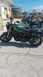 Benelli leoncino 800