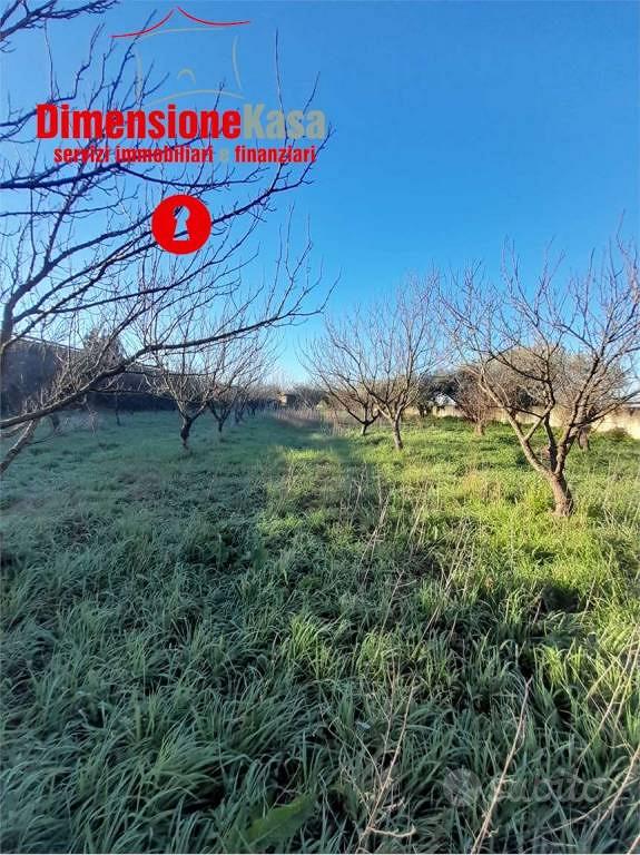Terreno di 4840 m² a Nola - Vista 2