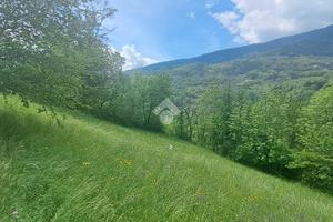 TER. RESIDENZIALE A ROISAN