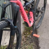Specialized enduro elite carbon "29