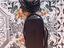 Immagine 5
