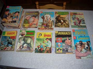 fumetti  rin tin tin  