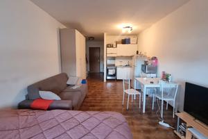 Ampio Monolocale ad Aviano