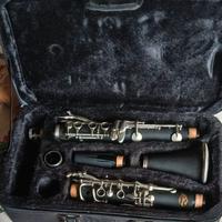 Strumento musicale / Clarinetto con custodia