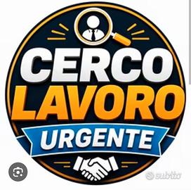 Gestore ecopiazole ecologiche  centri  raccolta 