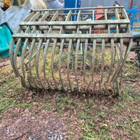 BENNA A RAGNO PER FOGLIE/RAMAGLIE