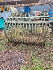 BENNA A RAGNO PER FOGLIE/RAMAGLIE