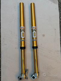 Forcelle motard/enduro ohlins