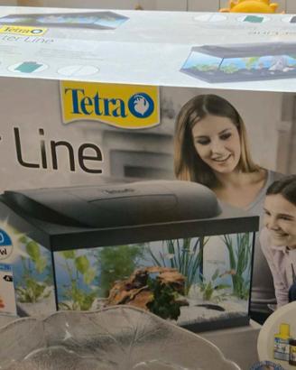 Acquario pesci Tetra, come Nuovo