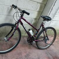 Bicicletta Mountain Bike