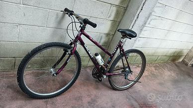 Bicicletta Mountain Bike