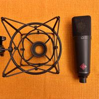 Microfono Neumann TLM 193 + ragno origin. EA 1 MT