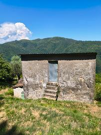 Vendita terreno e rimessa agricola