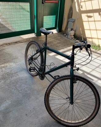 Mountain bike uomo