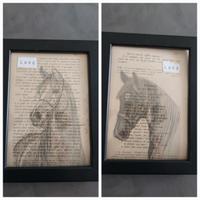 Quadro cavallo horse