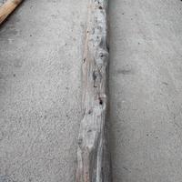 tronco ginepro 130 centimetri