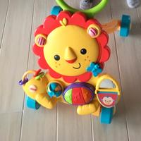 Primi passi leoncino