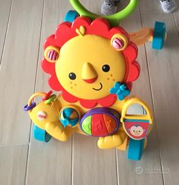 Primi passi leoncino