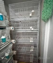 Gabbie voliere da 90 Marca Domus Molinari